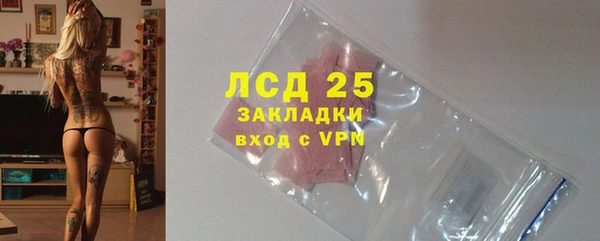 прущие грибы Абаза