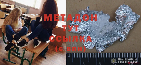 прущие грибы Абаза