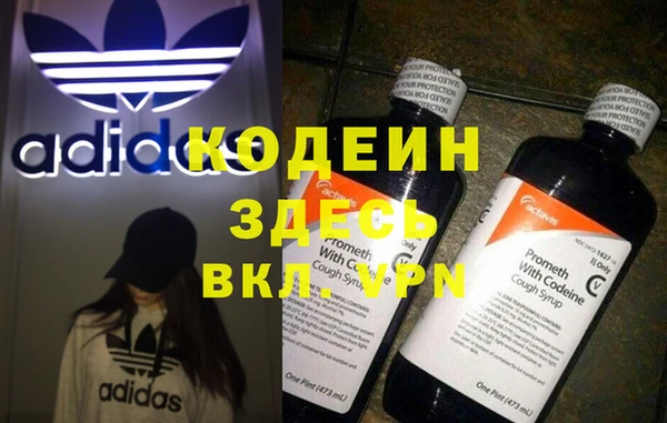 прущие грибы Абаза
