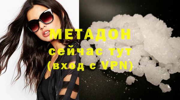 прущие грибы Абаза