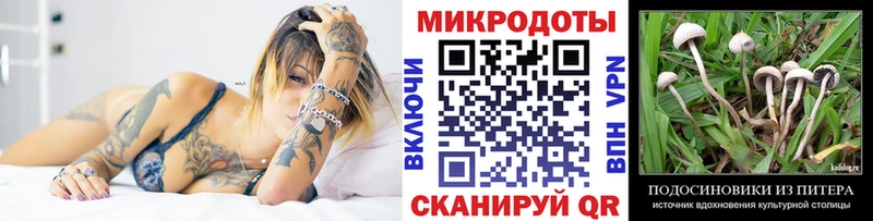 блэк спрут онион  Богородицк  Псилоцибиновые грибы Magic Shrooms 