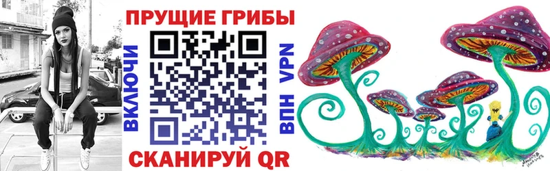 Псилоцибиновые грибы Cubensis Богородицк
